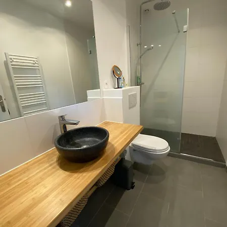 Avec Piscine, Wifi Et Jardin Au Coeur Des Abatilles, Proche Et Commerces - Fr-1-374-202 ארסשון